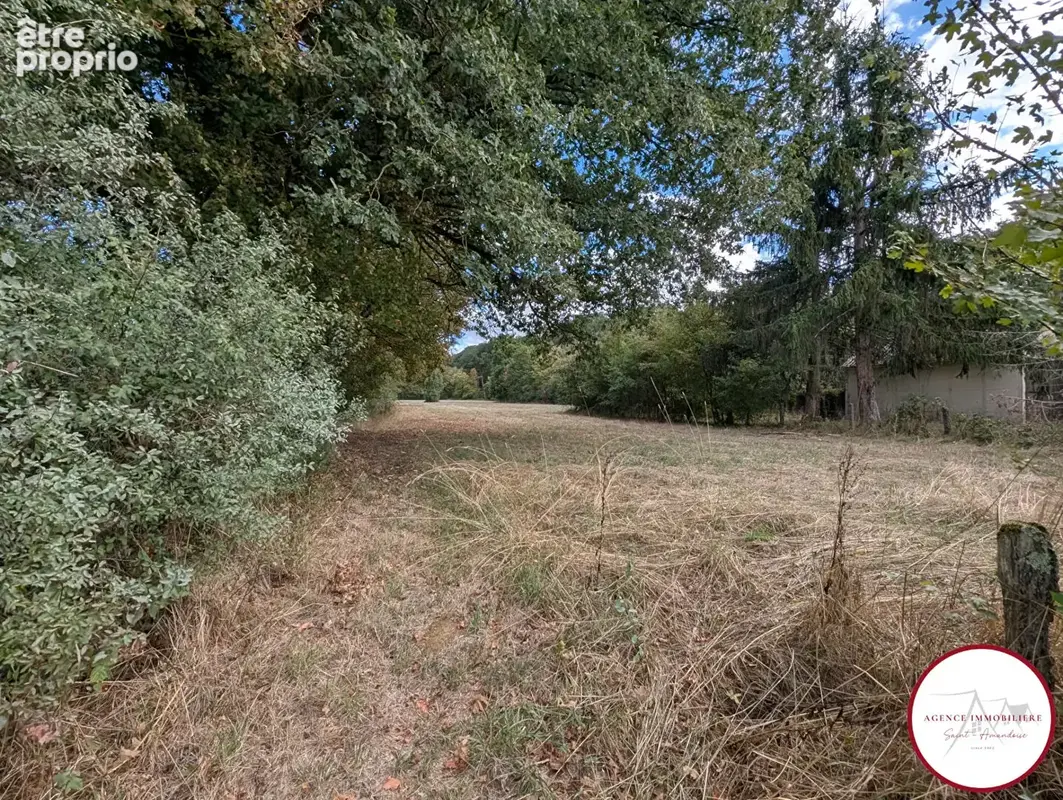 Cottage en forêt de Tronçais avec grange attenante  et autre terrain. - photo 17