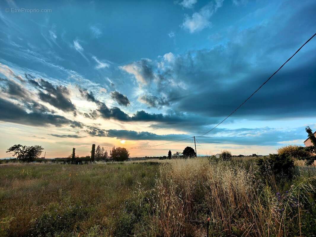 Terrain à PUIMOISSON