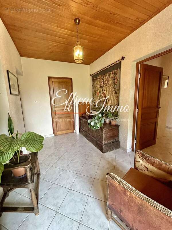 Villa T7 vue sur le Canigou sur 25 700m2 de terrain - photo 11