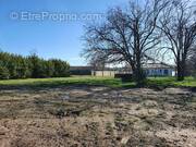 Terrain à AMBARES-ET-LAGRAVE