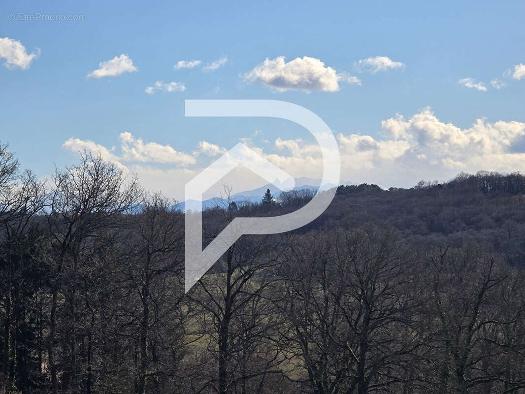 Terrain à CASTILLON(CANTON D'ARTHEZ-DE-BEARN)