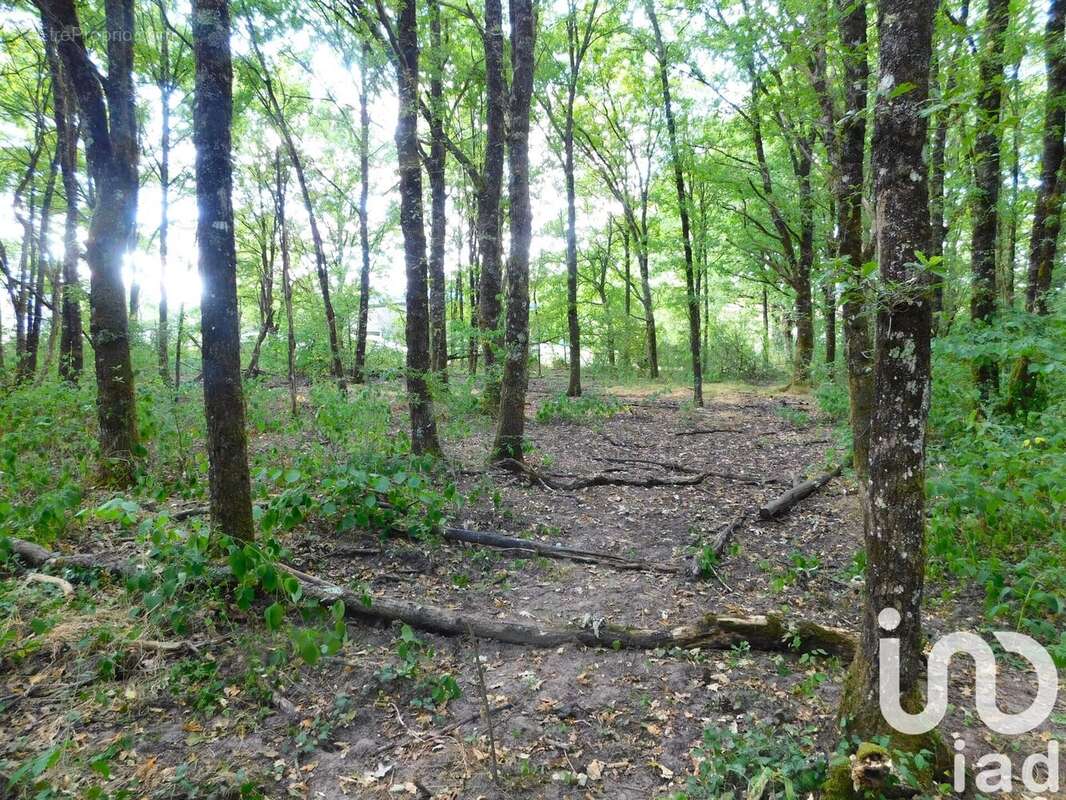 Photo 8 - Terrain à SALBRIS