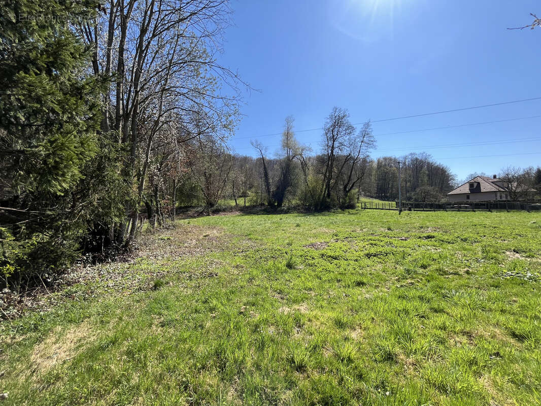 Terrain à HIRTZBACH