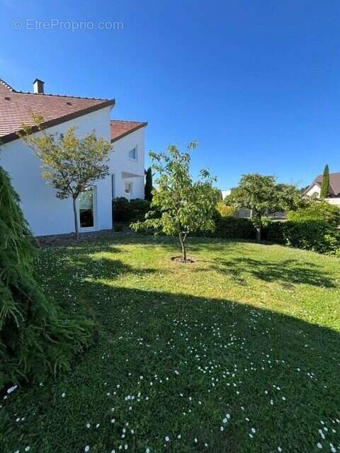 Maison à LA WANTZENAU