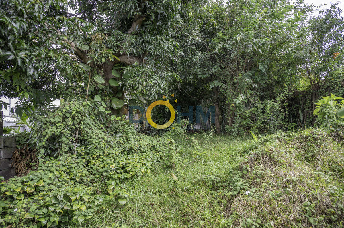 Maison à LE TAMPON