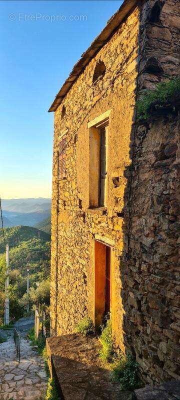 Maison à POGGIO-DI-VENACO