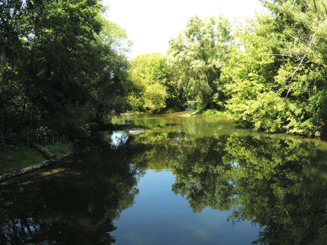 Meulière de caractère avec parc d'environ 6 000 m2  en bord de rivière - photo 5