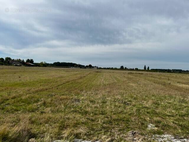 Terrain à MOLEANS