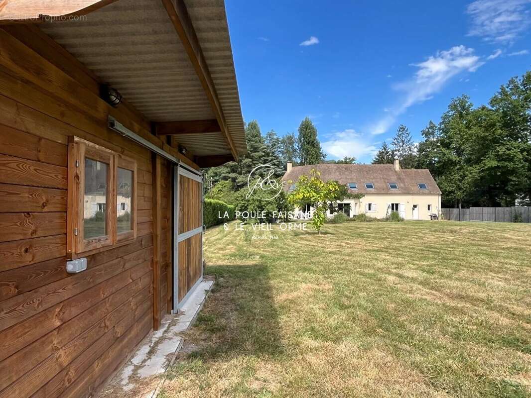 Vente ideale cavaliers - foret domaniale de rambouillet - photo 2