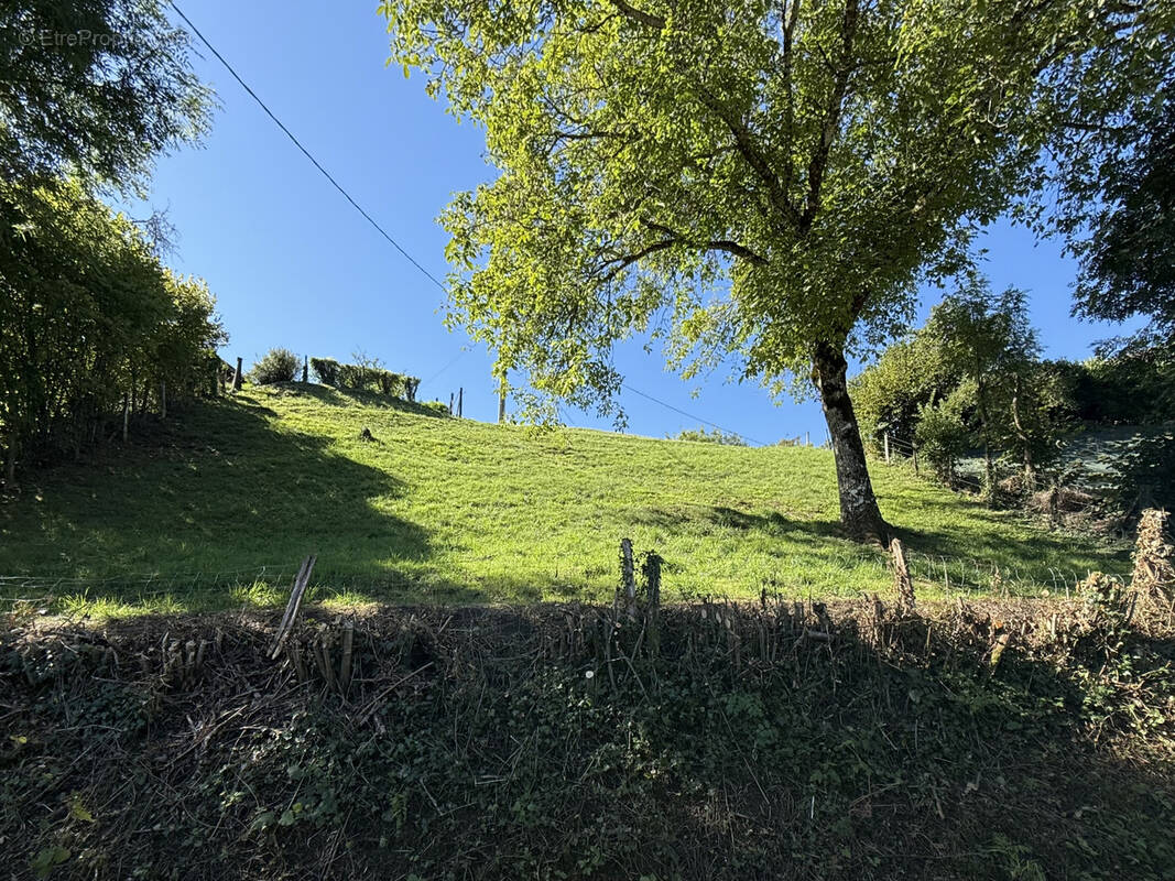 Terrain à PEILLONNEX