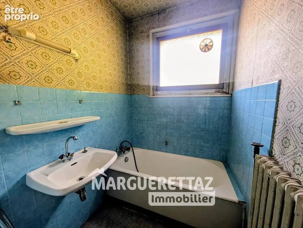 Local commercial + maison SAINT JEOIRE - photo 11