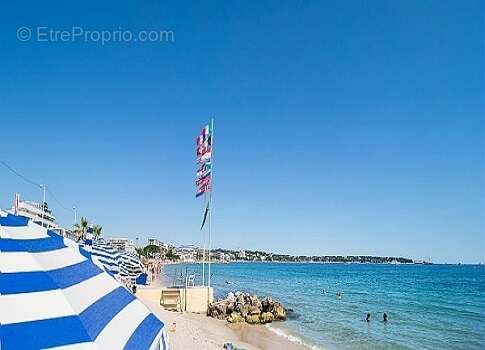 Antibes : Idéal investissement locatif - photo 11