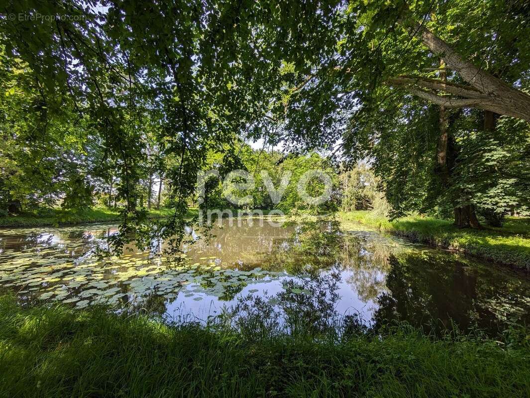 Terrain à SAINT-COLOMBAN