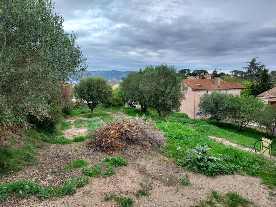 Terrain à LA SEYNE-SUR-MER