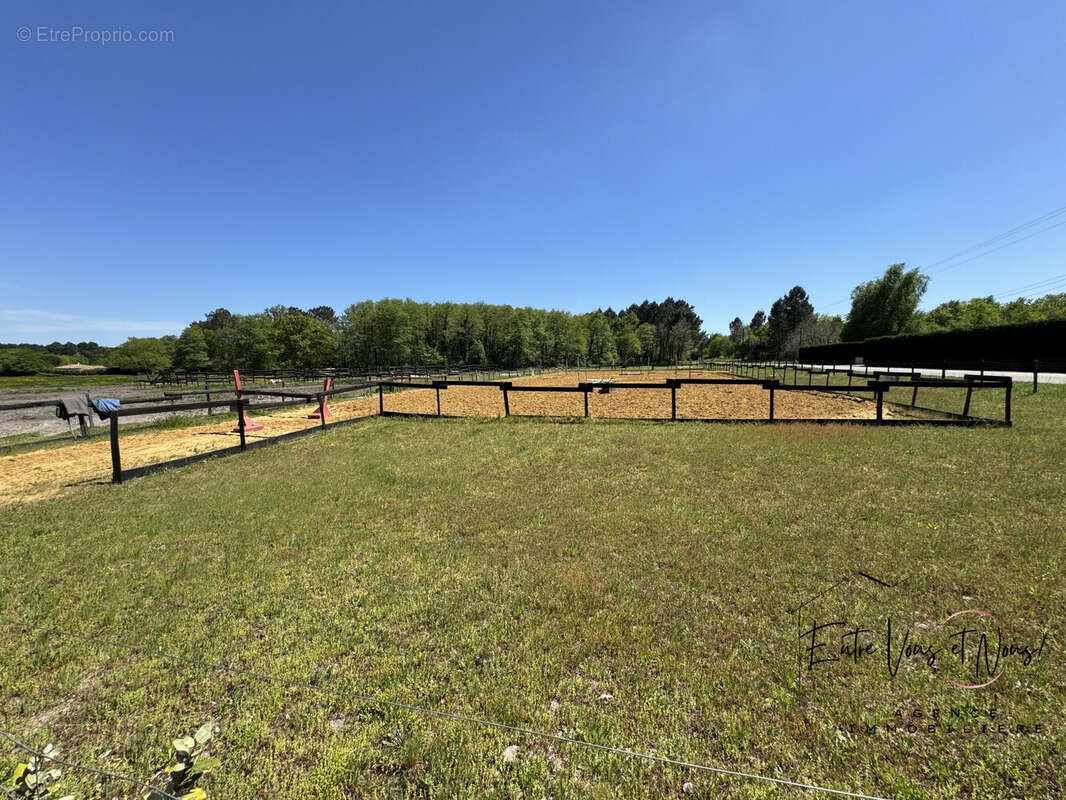 CARRIÈRE  - Maison à BAZAS