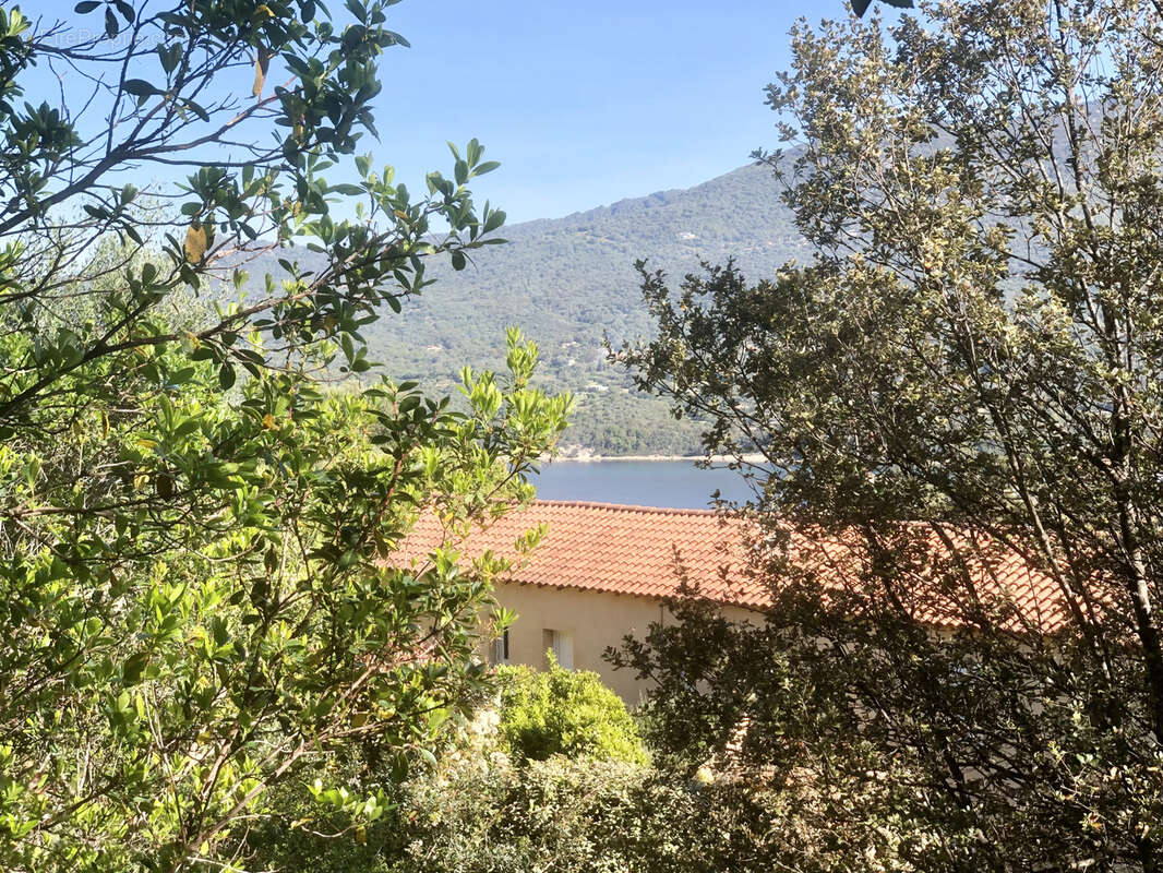 Terrain à PROPRIANO