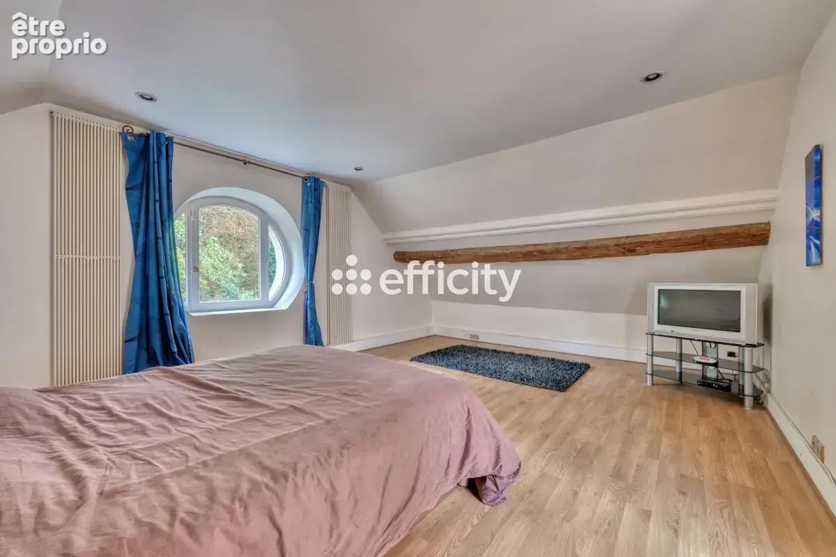 Maison 8 pièces 270 m² à vendre à Saints (77120) - photo 8