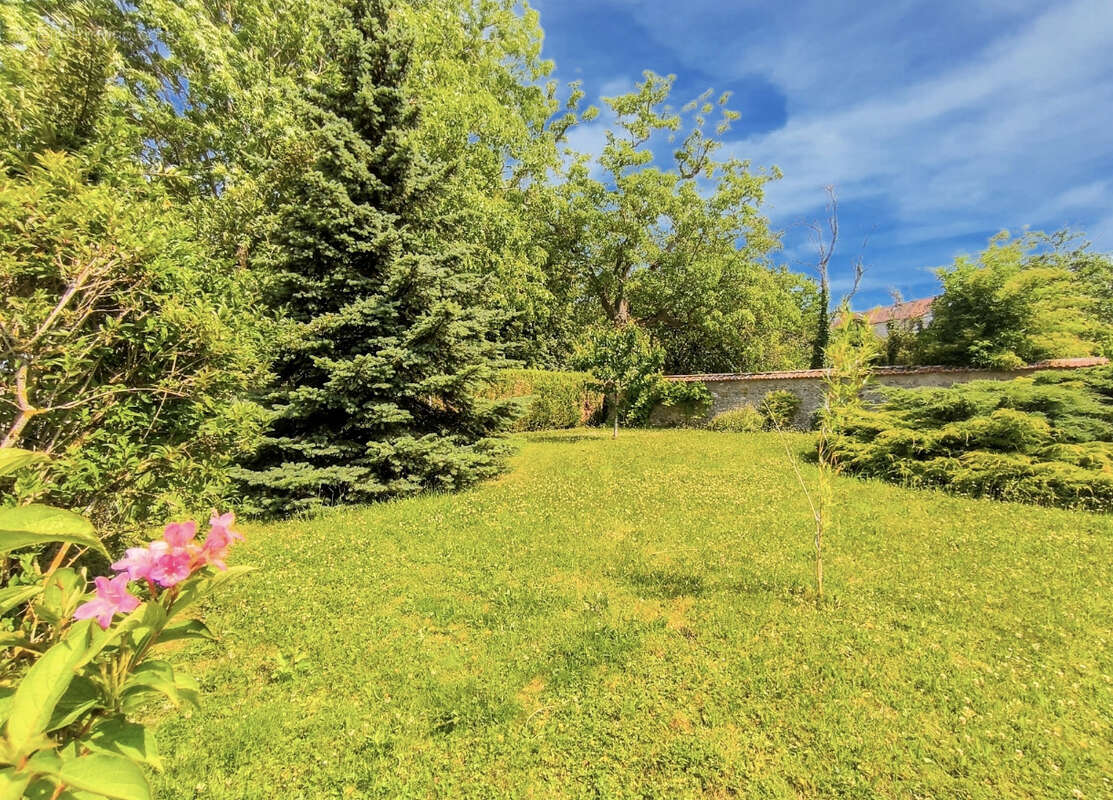 Maison à CHATEAU-THIERRY