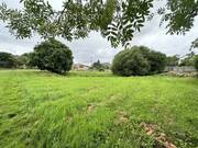 Terrain à SAINTE-VERGE