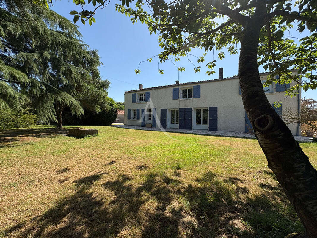 Maison 12 pièces -  6 chambres - LES VELLUIRE SUR VENDEE - photo 12
