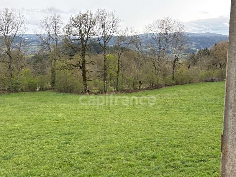 Maison à SAINT-JULIEN-LA-VETRE