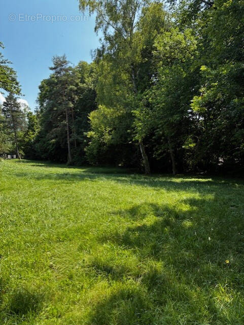 Terrain à BRIE-ET-ANGONNES