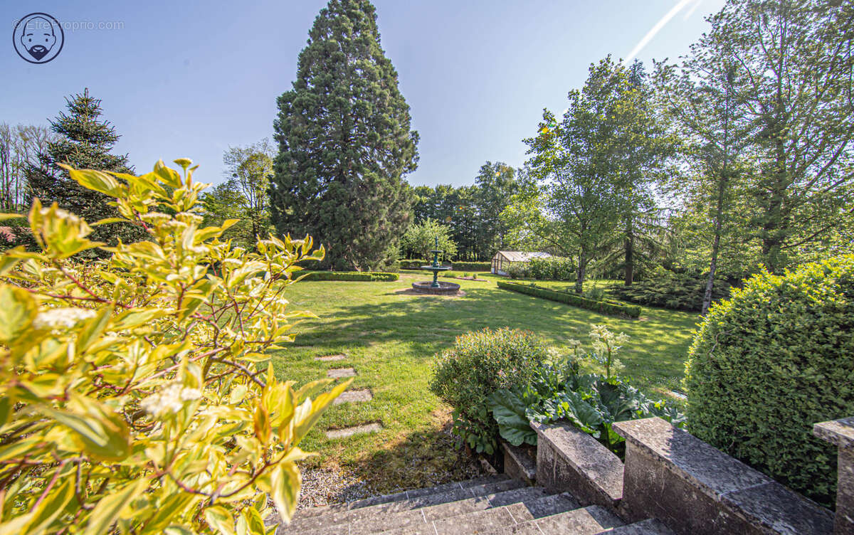 Maison de caractère 314 m2 et grand parc arboré - photo 4