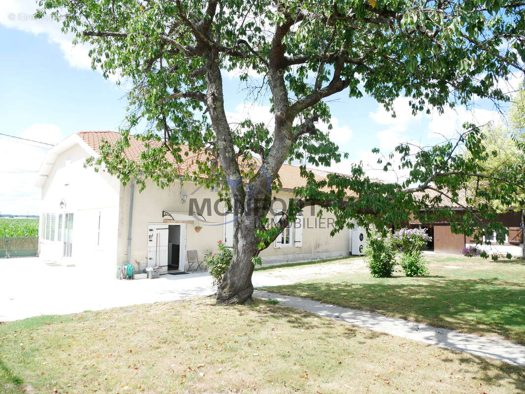 Grande maison en pierre rénovée avec T2 indépendant, dépendances et parc arboré - photo 3