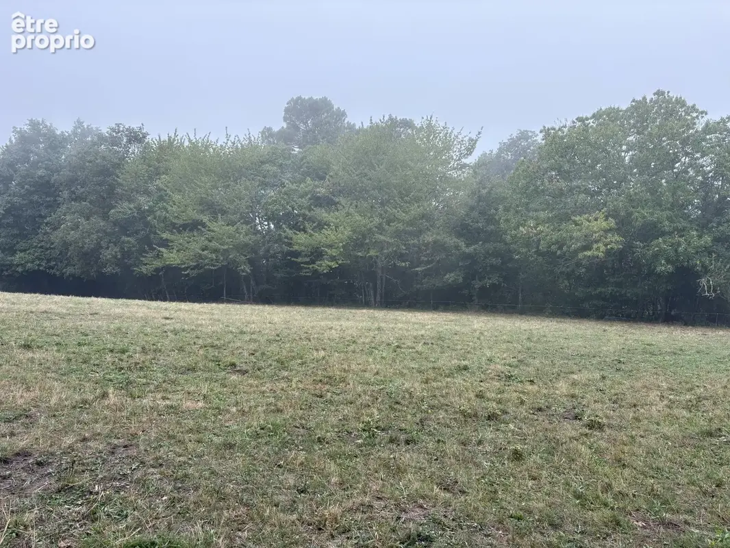 Un bel écrin de verdure pour votre projet en Périgord Noir - photo 4