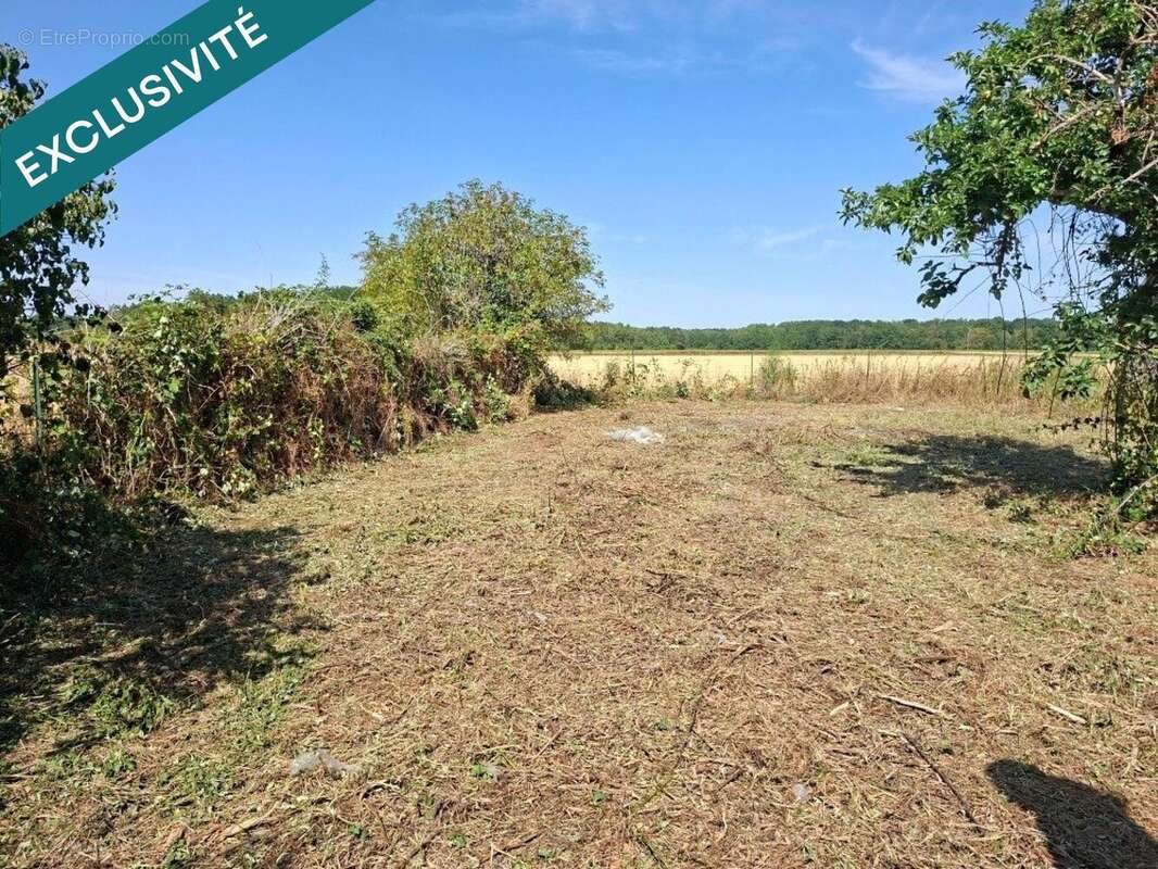 Commerce 225 m² à Santeau  - photo 3