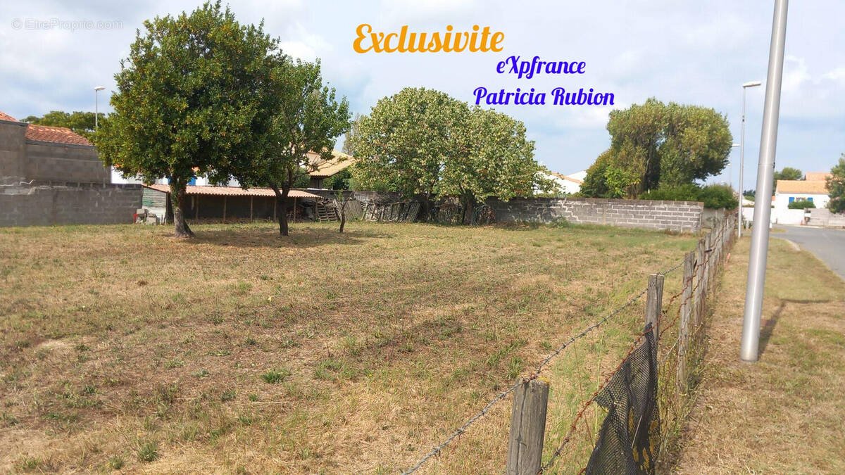 Terrain constructible  - Terrain à DOLUS-D'OLERON