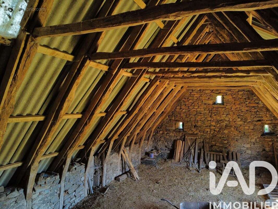 Photo 8 - Maison à CHAUSSENAC