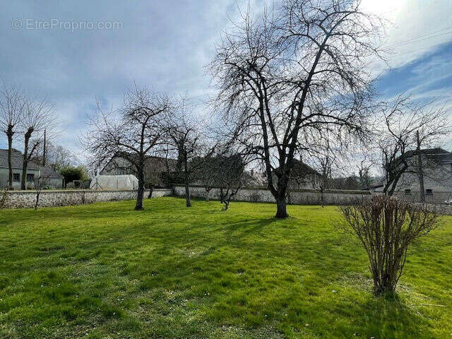 Photo 4 - Maison à LA FERTE-GAUCHER