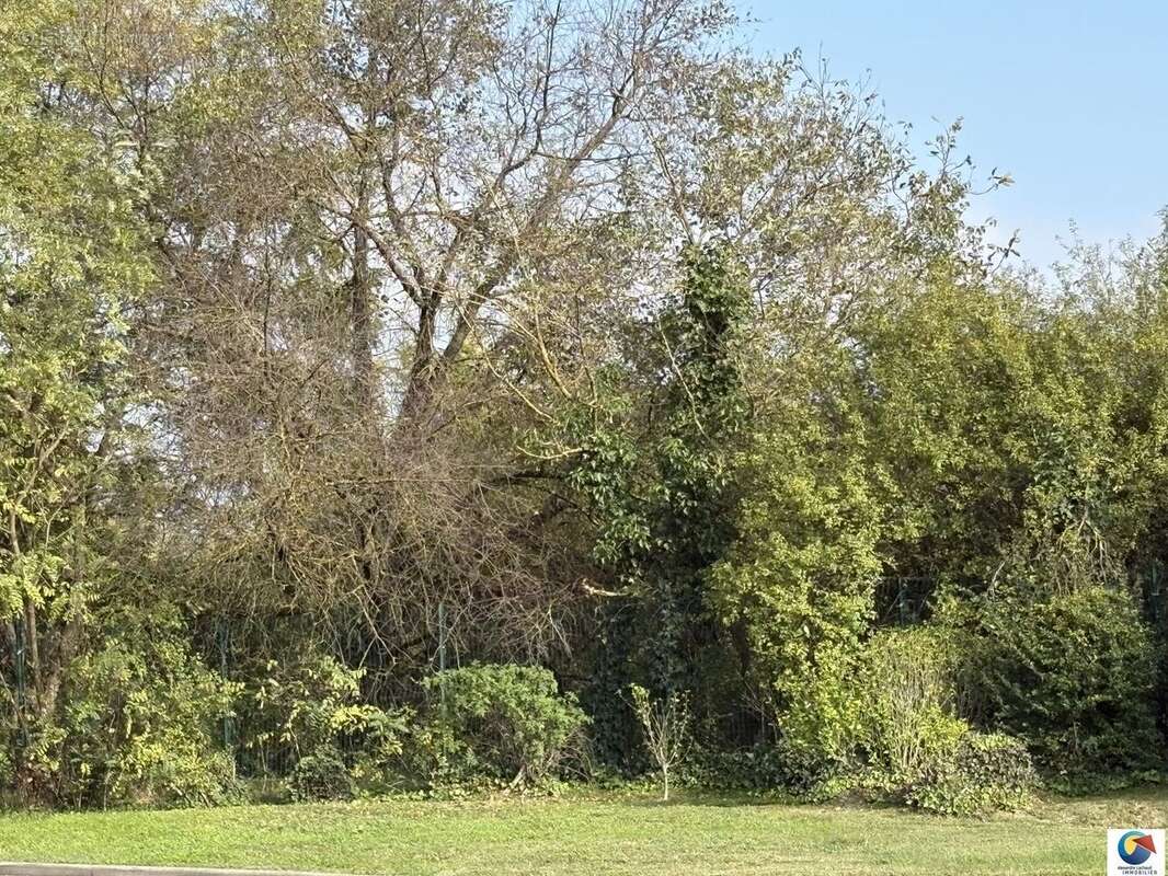 Maison à BEAUVOIR-DE-MARC