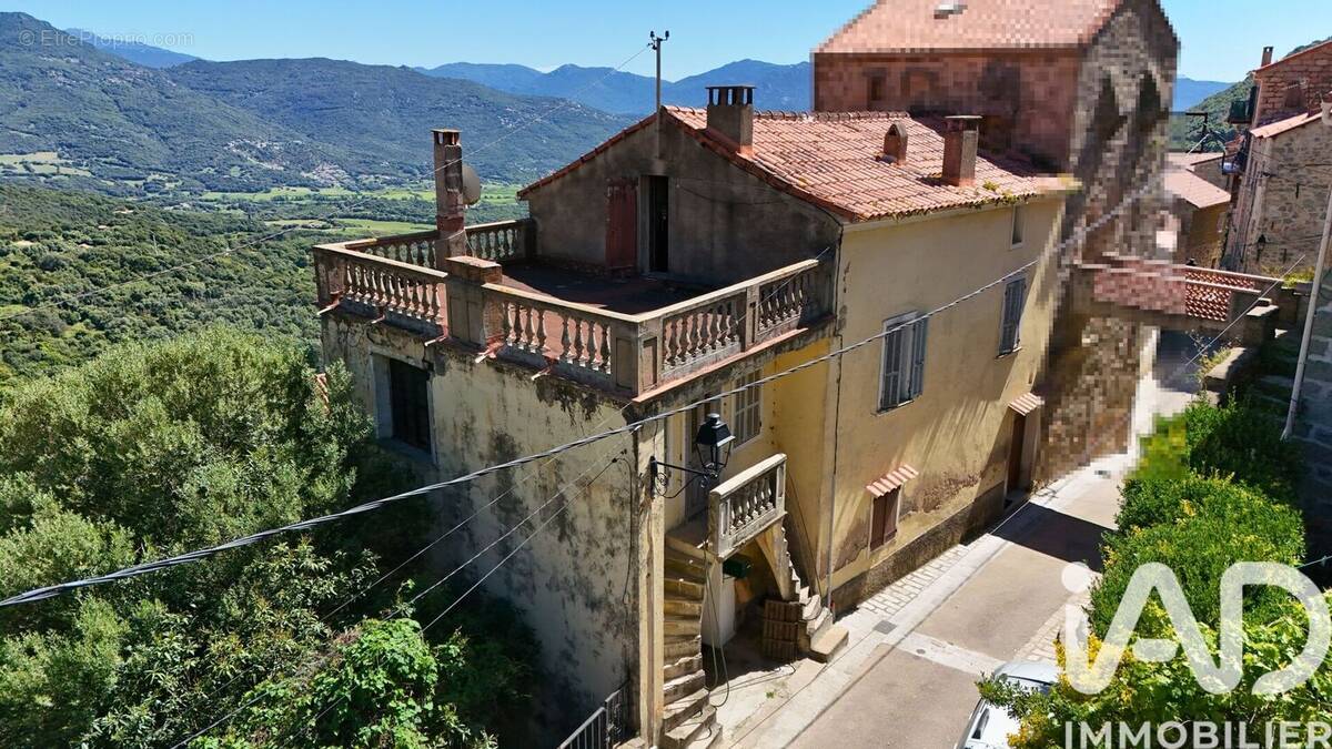 Photo 1 - Maison à OLMETO