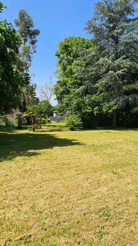 Maison à SAINT-MARY