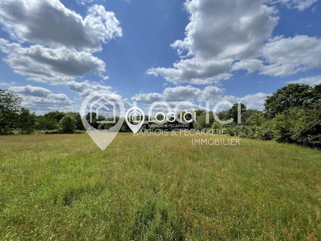 Terrain à TRIE-SUR-BAISE