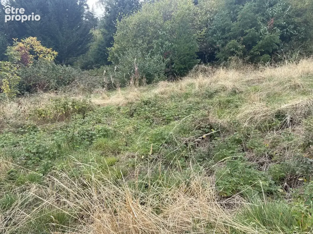Terrain constructible au calme - photo 4