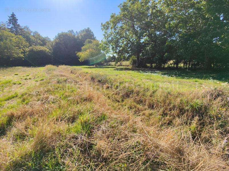 Maison à SAUZE-VAUSSAIS