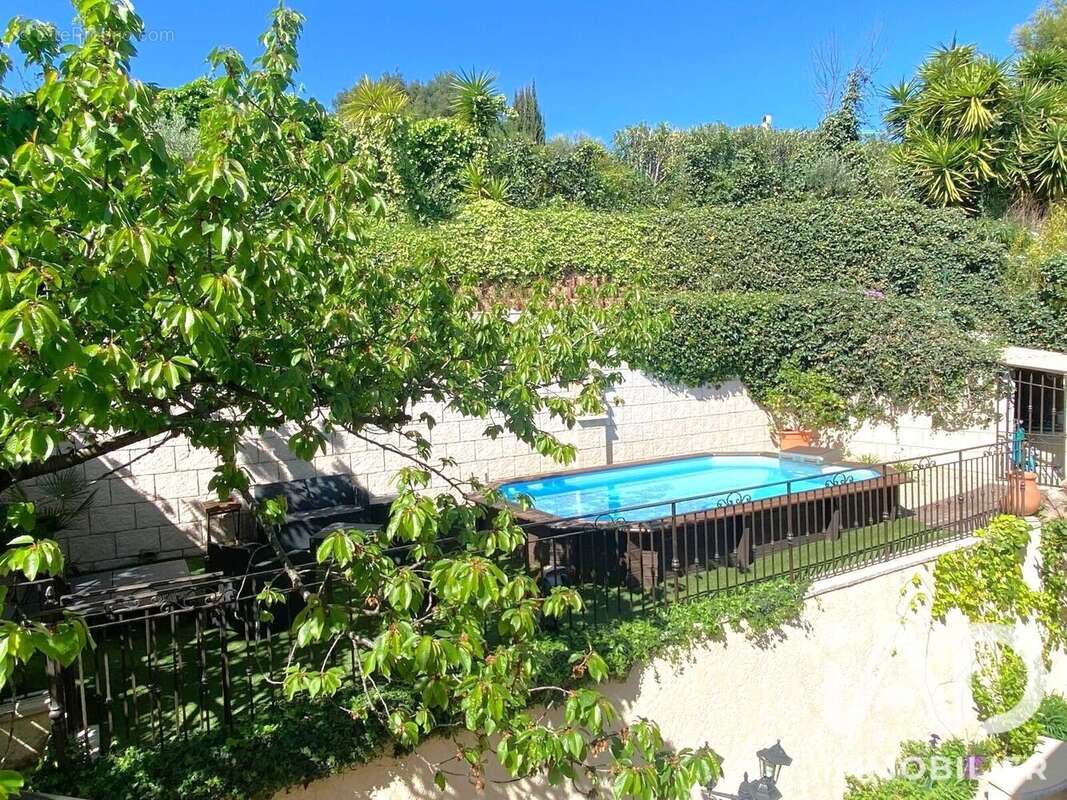 Photo 4 - Maison à MANDELIEU-LA-NAPOULE