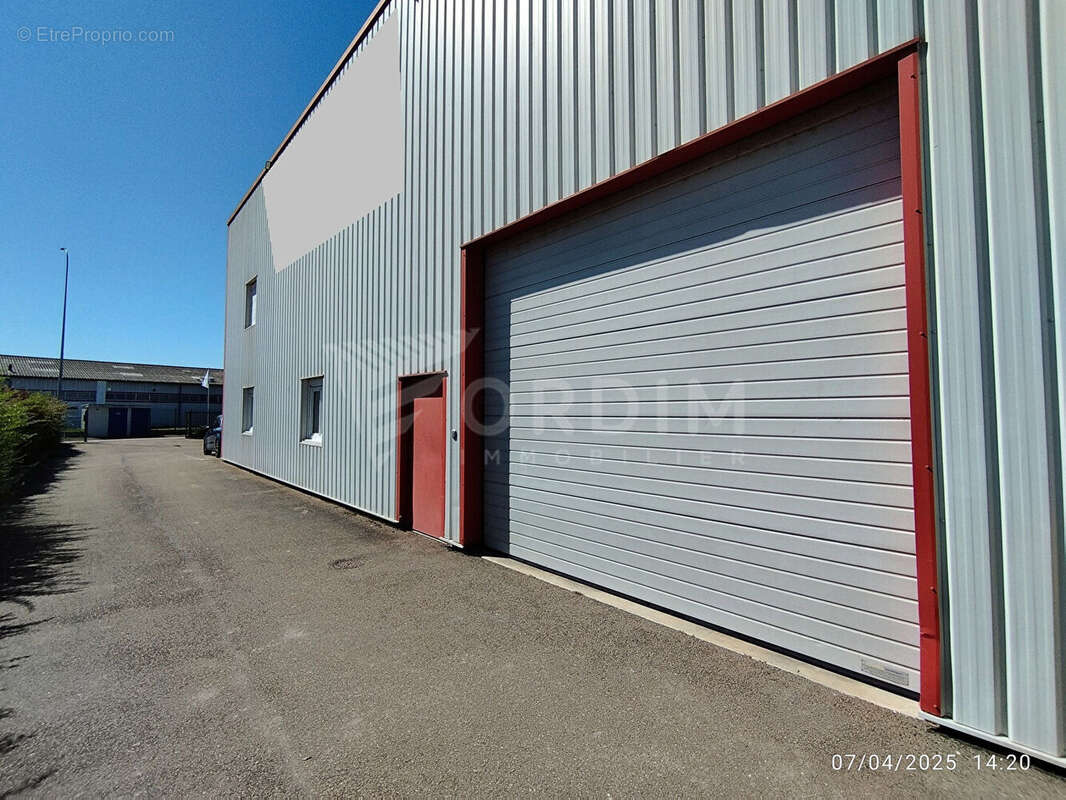 Moneteau - proche sortie 19 - a6 auxerre nord - local d'activite de 520m² - photo 3