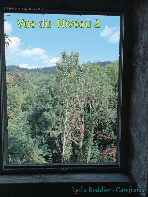 Maison de maître de 10 pièces avec terrain RARE à Thiers (63300) - photo 17