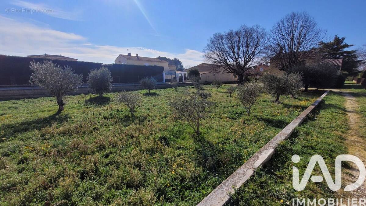 Photo 1 - Terrain à MORIERES-LES-AVIGNON