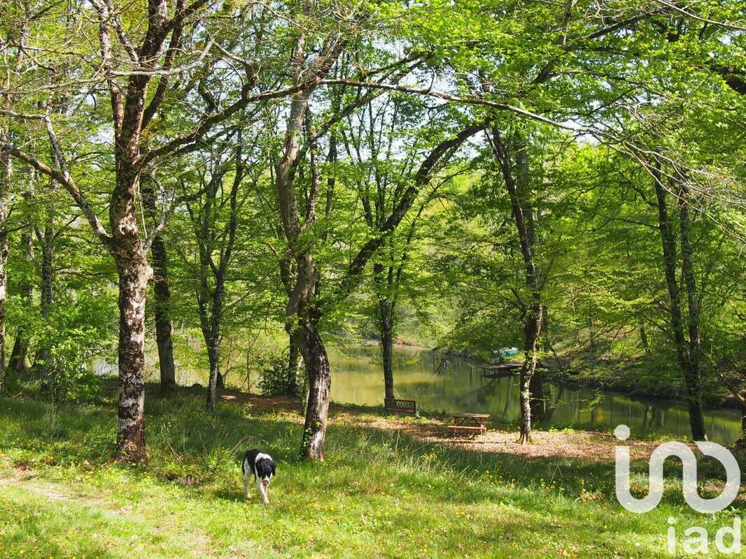 Photo 7 - Maison à BEAUPUY