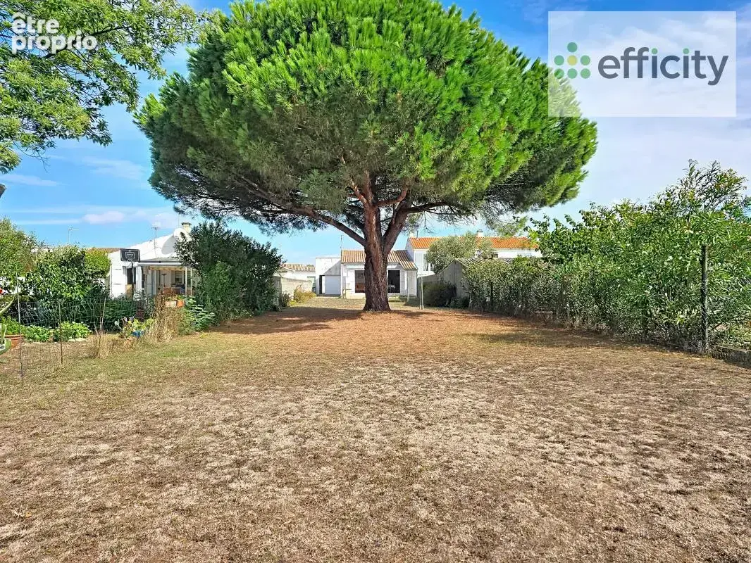 Maison 71 m² à Sainte-Marie-De-Re  - photo 2