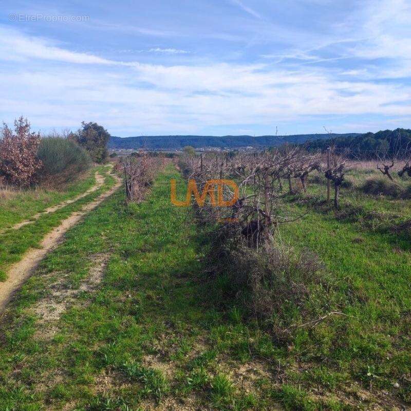 Terrain Agricole et de Loisir - Nature et grand espace - photo 2