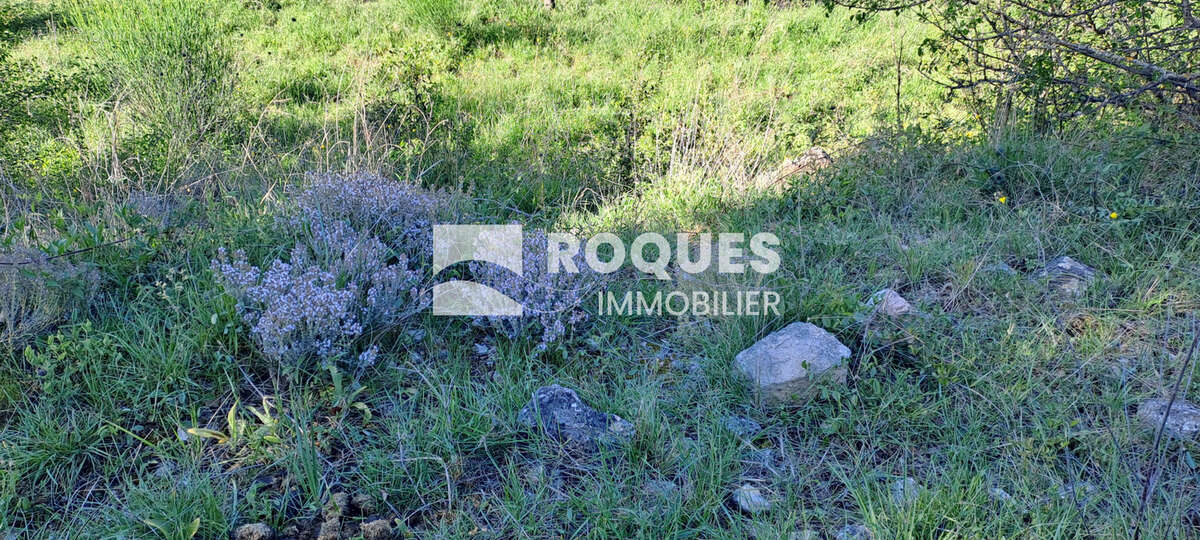 Terrain à SAINT-ETIENNE-DE-GOURGAS