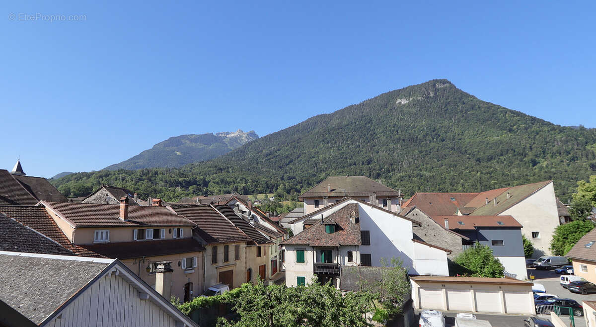 Appartement à SEYTHENEX