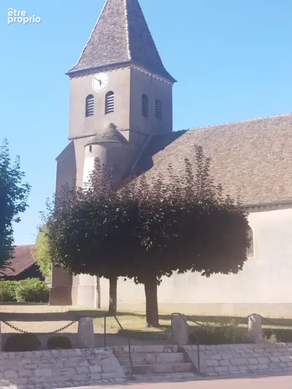 Maison 15 pièces 740 m² à vendre à Bragny-Sur-Saone (71350) - photo 9
