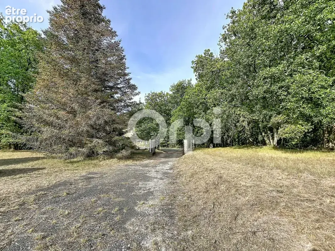  Maison semi‑enterrée de 1980 avec logement indépendant – 1,6 hectare de terrain - photo 17